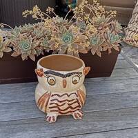 Handmade Terra Cotta Owl Planter, Mexican Pottery
