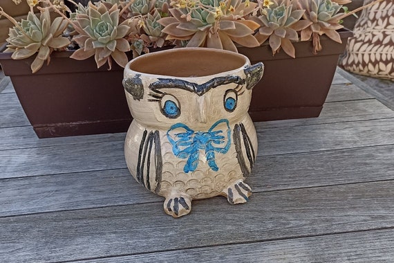 Owl Planter, Blue Bow Tie, Handmade Mexican Terra Cotta Pottery