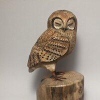 Sleepy little owl wood carving, sculpture