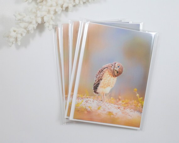 Burrowing Owl Note Cards, Set of 5 Owl Notecards, Blank Cards, Bird Stationery, Greeting Card, Bird Photography, Nature Card, Wildlife Photo