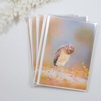 Burrowing Owl Note Cards Set