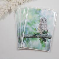 Barred Owl Note Cards, Set of 5 Owl Notecards, Blank Card, Bird Stationery, Owl Greeting Car...