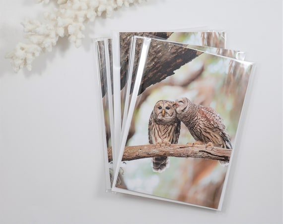 Barred Owl Note Cards Set