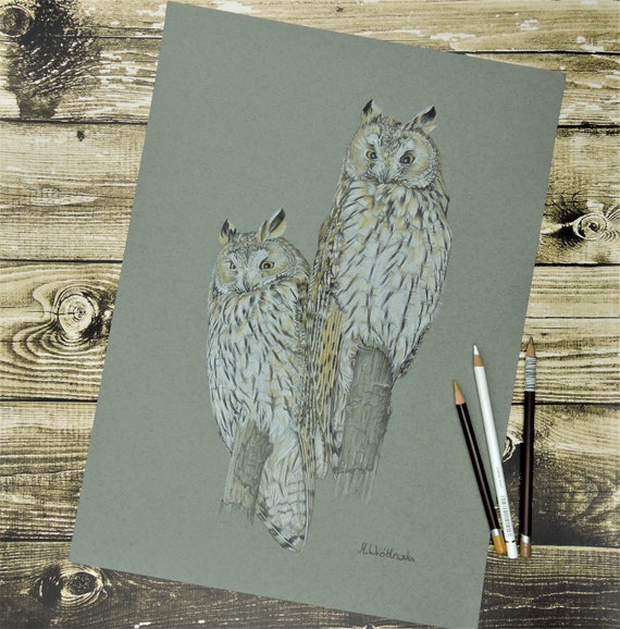 Long-eared owls, an original drawing of owls.