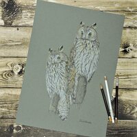 Long-eared owls, an original drawing of owls.