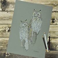 Long-eared owls, an original drawing of owls.