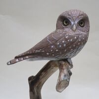 Northern Pygmy Owl wood carving