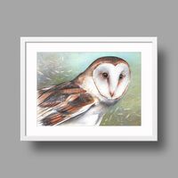 Barn Owl Original Ballpoint Pen Drawing