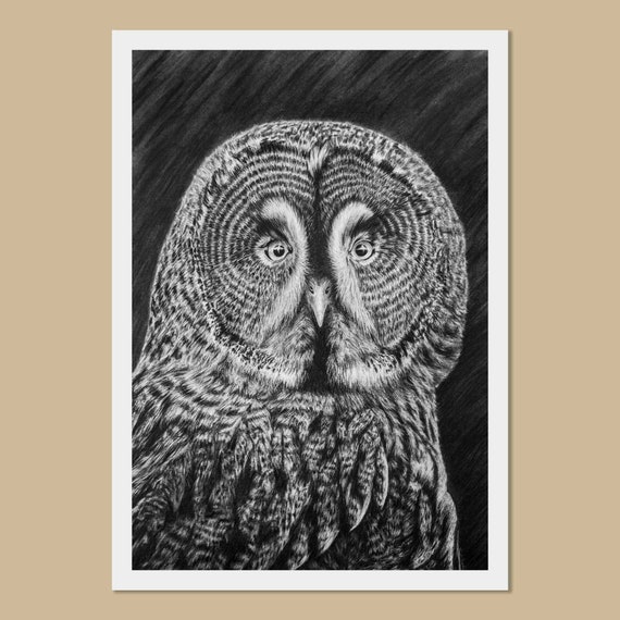Great grey owl art prints - A3, A4, A5 sizes - Strix nebulosa - Owl wall art - charcoal drawing - Bird lover gift