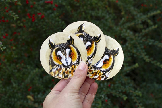 Long eared owl vinyl sticker, owl face sticker