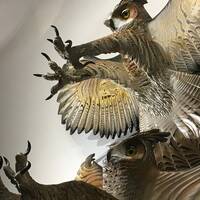 Barred Owl wood sculpture