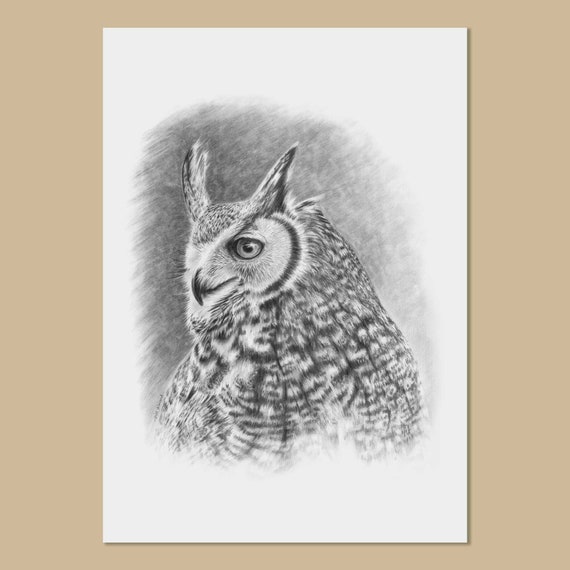 Great Horned Owl Art Prints - A3, A4, A5 sizes - bubo virginianus - Owl Pencil Drawing - Bird of Prey Wall Art - Bird Lover Gift