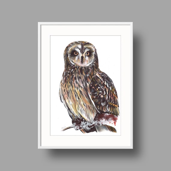 Short-eared Owl original artwork | Ballpoint pen drawing on white recycled paper | Realistic bird portrait | Wall mounted home decor