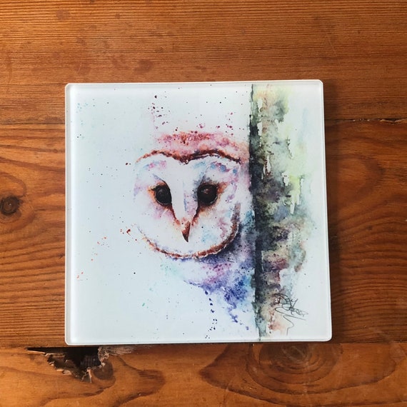 Barn Owl Glass Trivet, Owl Pot Stand, Table Mat, Placemat, Hot Plate Table Protector. Wildlife Artist Sandi Mower