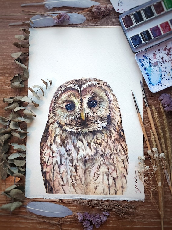 Owl - ORIGINAL watercolour painting 7.5x11 inches,Hand paint 100%,art,watercolor, Hand made, owl art, minimalist,Contemporary,gift