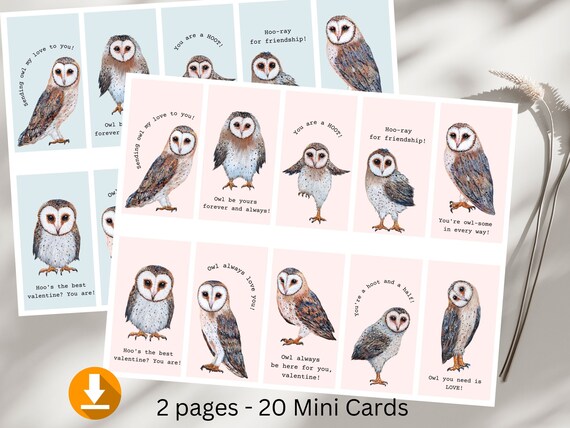 20 Mini Owl Valentine Cards, Cards for Classroom, Card for Kid, Valentine's Day Party, Kid Valentines, School Valentines, Owl Lover Gift