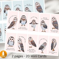 20 Mini Owl Valentine Cards, Cards for Classroom, Card for Kid, Valentine's Day Party, K...