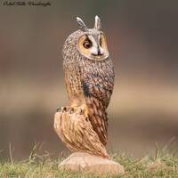 Long Eared Owl *Hand Made Wooden Sculpture*