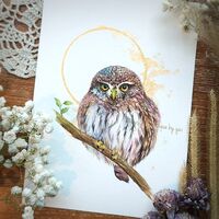 Northern Pygmy Owl ORIGINAL watercolor painting 5x7 inches, Hand painted Not print,gift, wal...