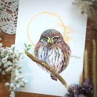 Northern Pygmy Owl ORIGINAL watercolor painting 5x7", Hand painted by Yui Chatkamol,Min...