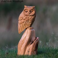 Caricature Wooden Owl hand carved from Cherry Wood.