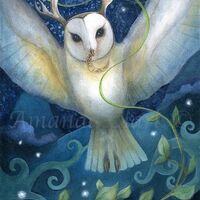 Limited edition giclee print titled "The Moon Thief" by Amanda Clark - owl art pri...