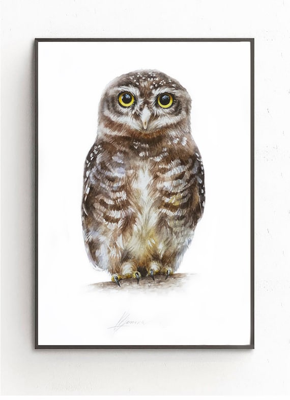 Spotted Owlet Painting, ORIGINAL Watercolor Painting,Bird Artworks, Wall Decor, Handmade Gift, NOT a print