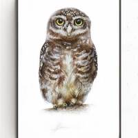 Spotted Owlet Painting, ORIGINAL Watercolor Painting,Bird Artworks, Wall Decor, Handmade Gif...