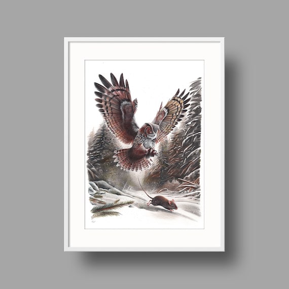 The Owl And The Mouse | Original artwork | Ballpoint pen drawing on white recycled paper | Wall mounted home decor