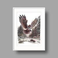 The Owl And The Mouse | Original artwork | Ballpoint pen drawing on white recycled paper | W...