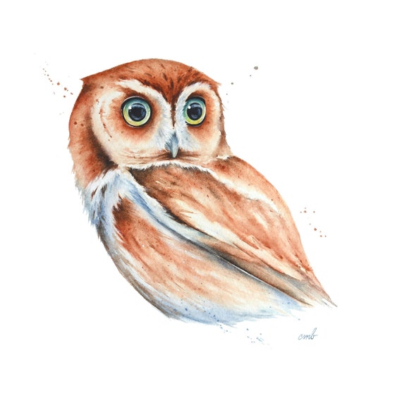 Screech Owl Watercolor Painting by Christy Barber | Owl painting, Owl Tiny Art Print Print, Bird Miniature Watercolor, Owl Print Wall Decor