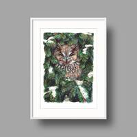 Owl In Spruce Branches | Original artwork | Bird Portrait | Ballpoint pen drawing on white r...