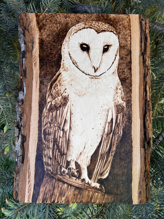 BARN OWL ART pyrography woodburned art  bird lover gift owl wall decor