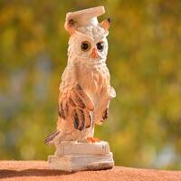 Graduation Owl Figurine,Graduation Gift,Owl on Books,White and Brown Owl Figurine, Home Deco...