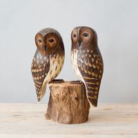 Baby Barred Owl - Pair- 7.5"H - Hand Carved Wooden Bird