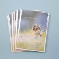 Burrowing Owl Note Cards, Set of 5 Bird Notecards, Blank Nature Cards, Owl Stationery, Owl G...