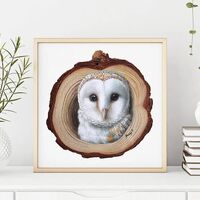 Barn Owl Fine Art Print | Barn Owl Wall Art by Roberto Rizzo | Barn Owl Print | Owl Wall Art...