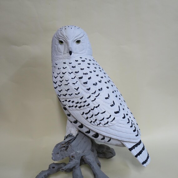 Snowy Owl