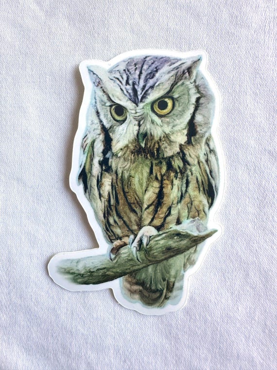 Eastern Screech Owl Painting Sticker, Vinyl, 2"x 3", Dishwasher Safe
