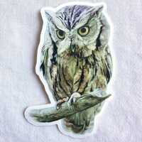 Eastern Screech Owl Painting Sticker, Vinyl, 2"x 3", Dishwasher Safe