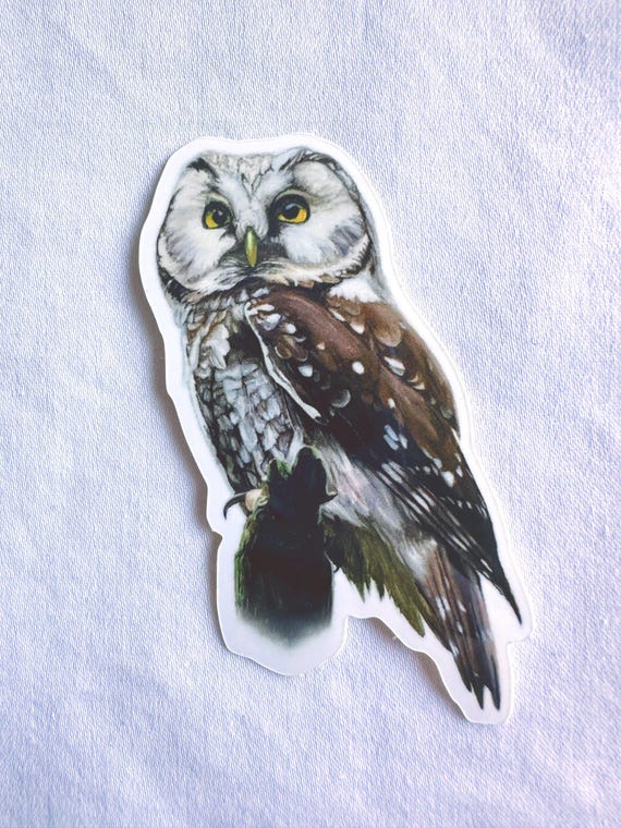 Boreal Owl Painting Sticker, Vinyl, 2"x 3", Dishwasher Safe