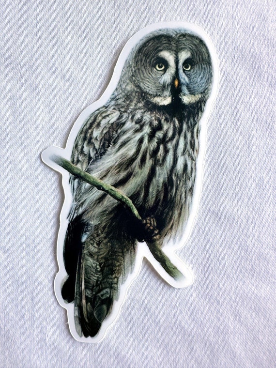 Great Grey Owl Painting Sticker, Vinyl, 1.8"x 3", Dishwasher Safe