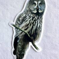 Great Grey Owl Painting Sticker, Vinyl, 1.8"x 3", Dishwasher Safe