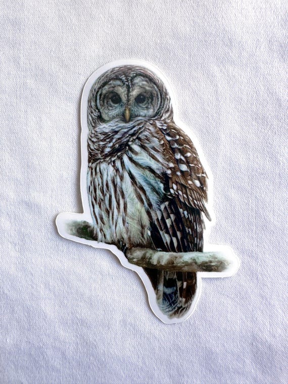 Barred Owl Painting Sticker, Vinyl, 2"x 3", Dishwasher Safe