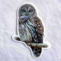 Barred Owl Painting Sticker, Vinyl, 2"x 3", Dishwasher Safe