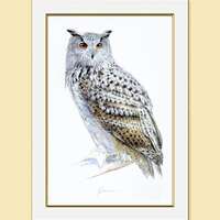 Owl Painting, Art Print from my original Watercolor, Bird Art,Bird Wall Art, Eurasian Eagle ...