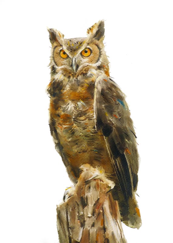 Owl Art,  Creat Horned Owl Painting ,Hand Painted, Мixed Мedia ( tempera paints, dry pastel, ink ),Owl Portrait, Bird Art, Wildlife Painting