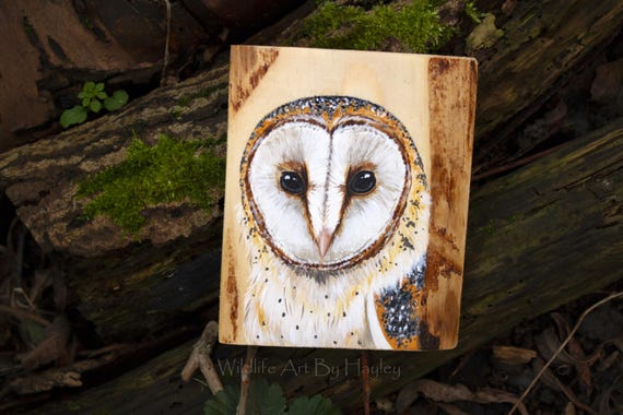 Barn owl painted on recycled pallet wood, original wildlife art, wooden wall decor