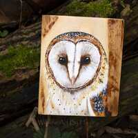 Barn owl painted on recycled pallet wood, original wildlife art, wooden wall decor
