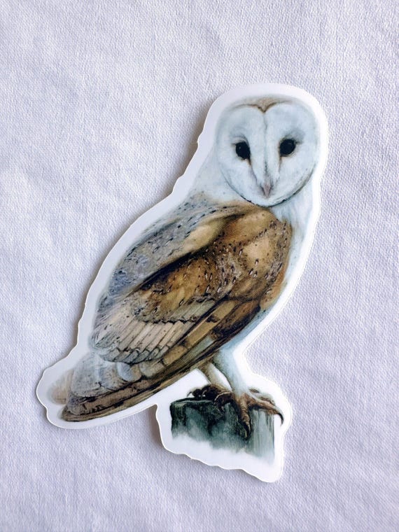 Barn Owl Painting Sticker, Vinyl, 2.3"x 3, Dishwasher Safe